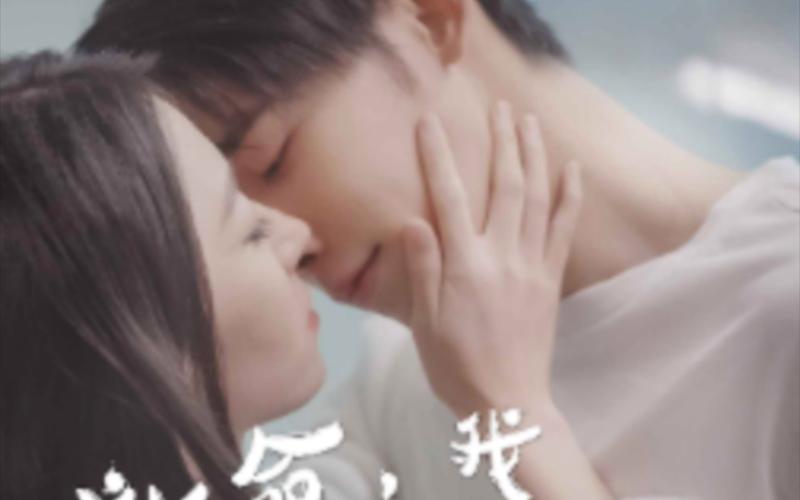 你是我的荣耀免费观看