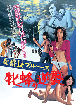 冬至电视剧黄景瑜孙千