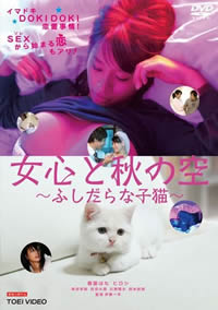 照明商店电影免费完整版在线观看