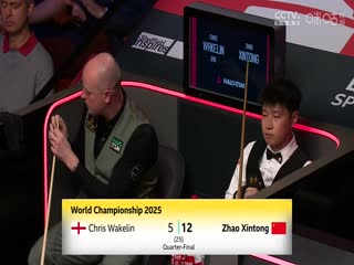 小巷人家电视剧免费播放在线观看