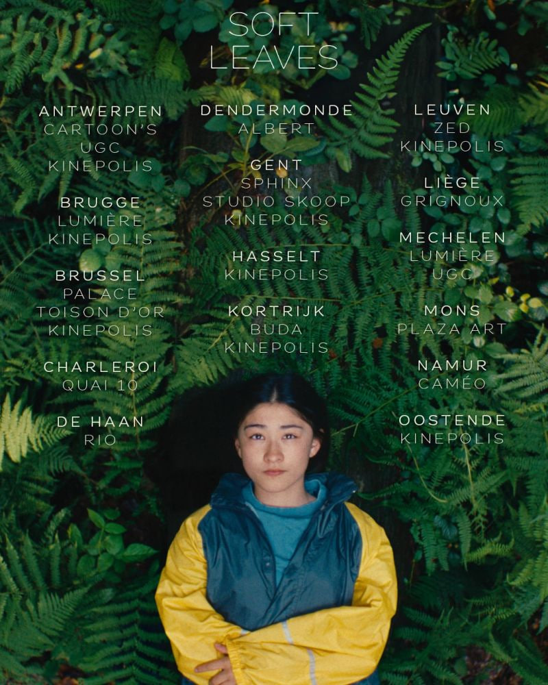 新闻女王电视剧在线观看免费国语版