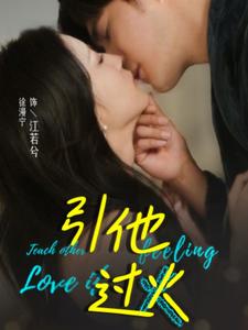 美丽的秘密电视剧全集