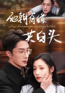 相遇的夏天综艺在线观看免费全集