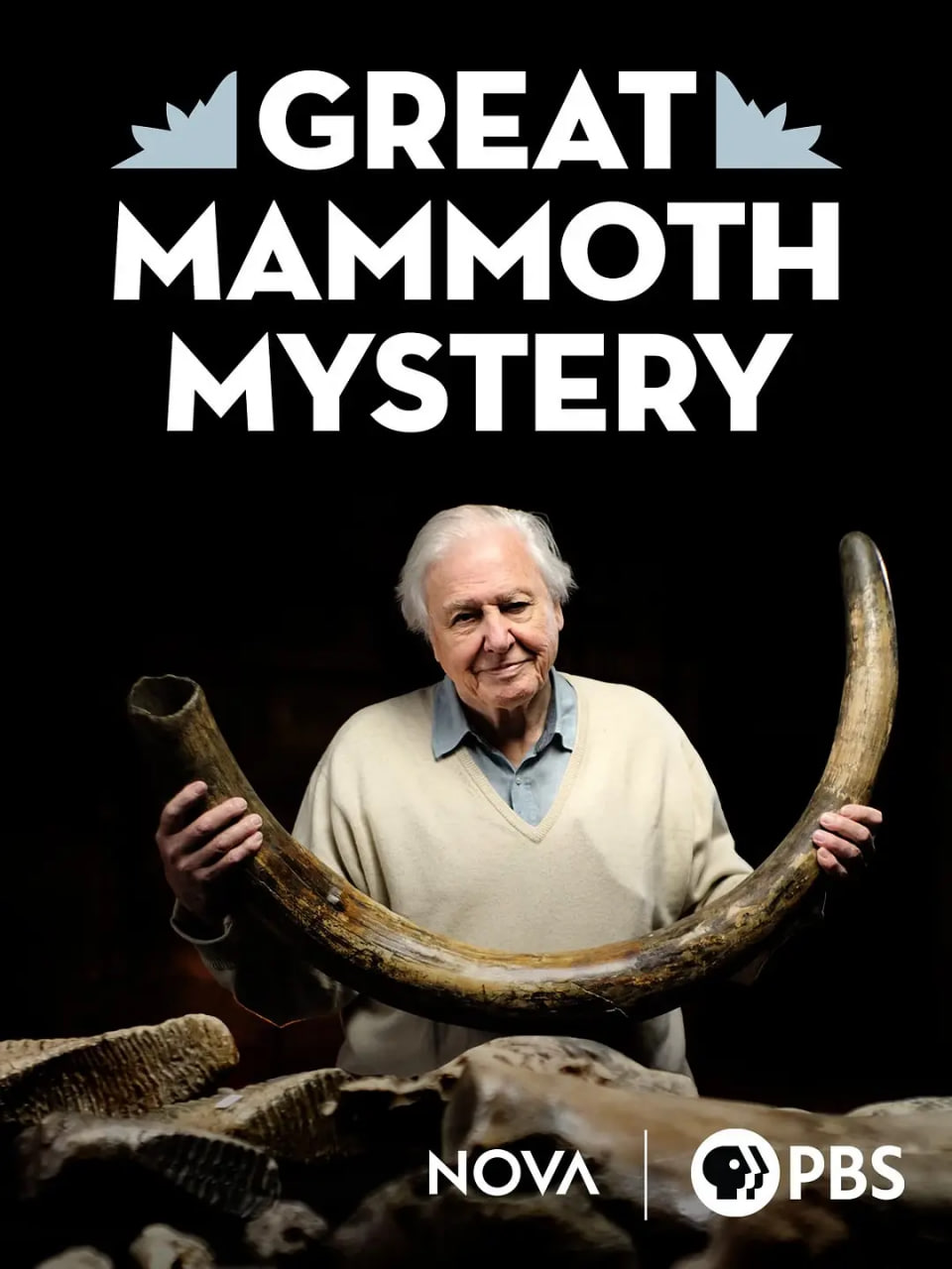 东野圭吾电影版免费观看高清版