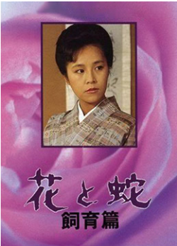 教室别恋电影高清免费版