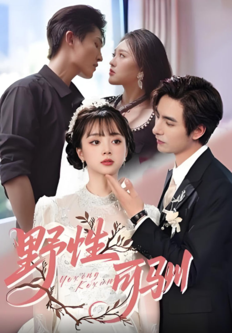 对与决电视剧全集32