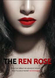 度年华电视剧免费播放在线