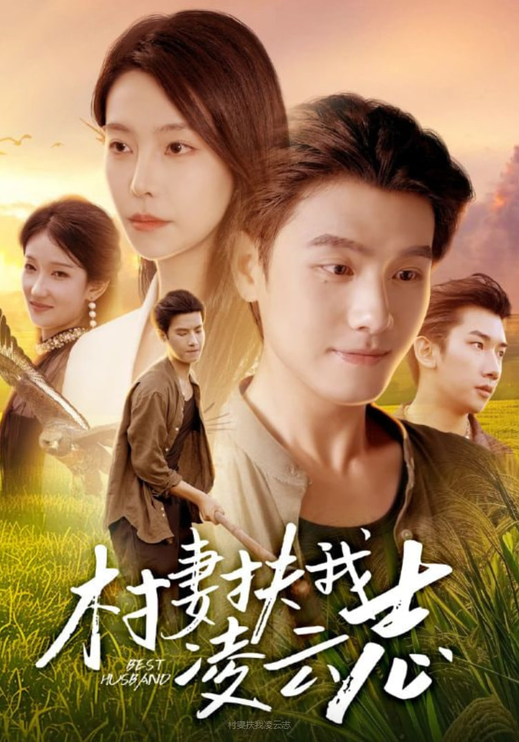 豆腐西施杨七巧电视剧全集