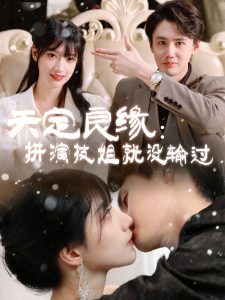 鸡毛飞上天电视剧全集观看免费