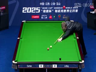 罚罪电视剧免费观看全集完整版