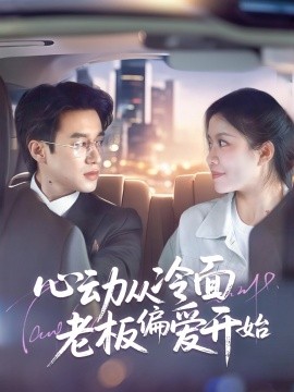 《伪装者》电视剧