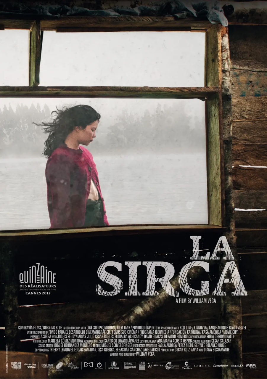 三体在线观看完整版免费