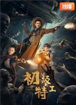 大漠枪神 电视剧