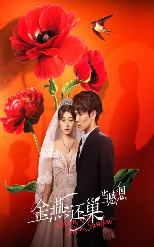 司藤电视剧免费观看全集完整版