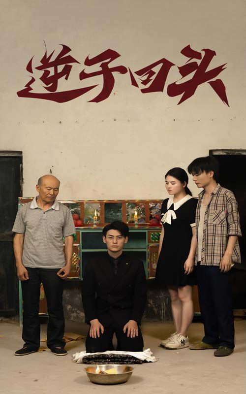 灼灼韶华 电视剧 在线观看