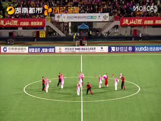 唐宫燕电视剧全集46