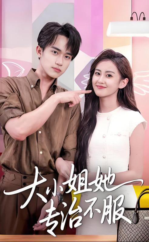 浪漫的事 电视剧