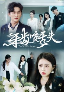 目之所及2025电视剧