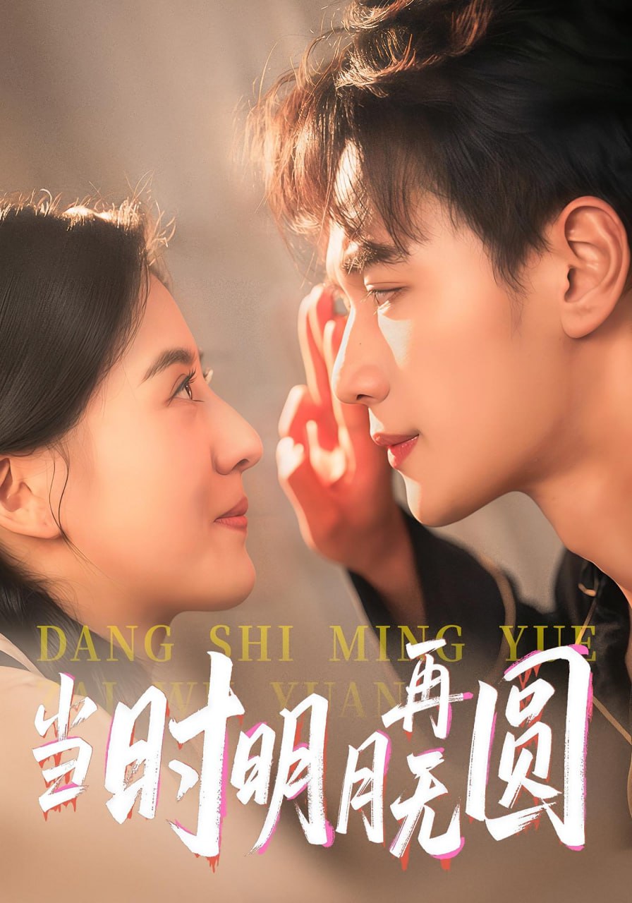 当家主母 电视剧