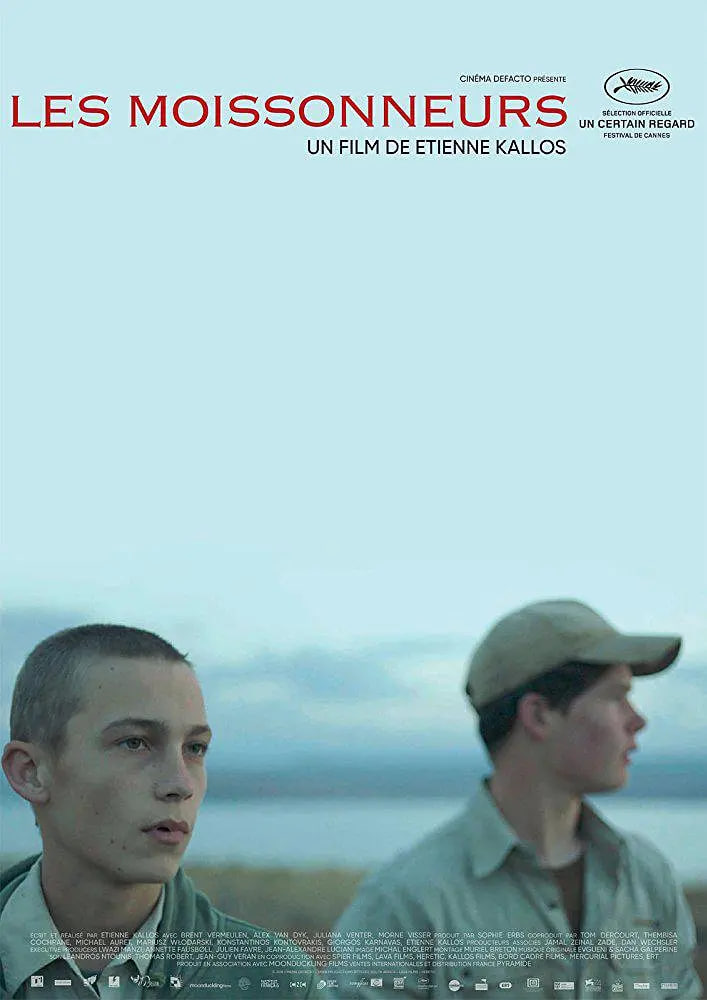 后海不是海 电视剧