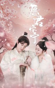 中国刑警803 电视剧