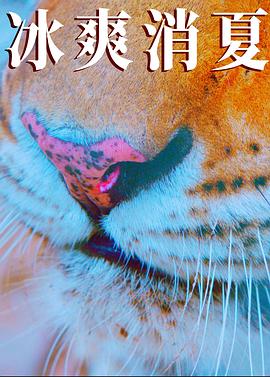 幸福归来电视剧全集48