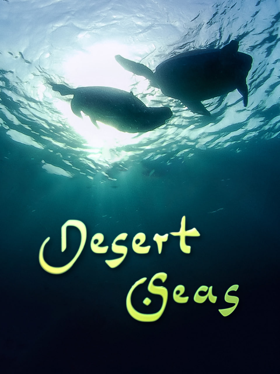 当家主母电视剧免费观看完整版