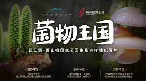 漂浮电影高清完整版