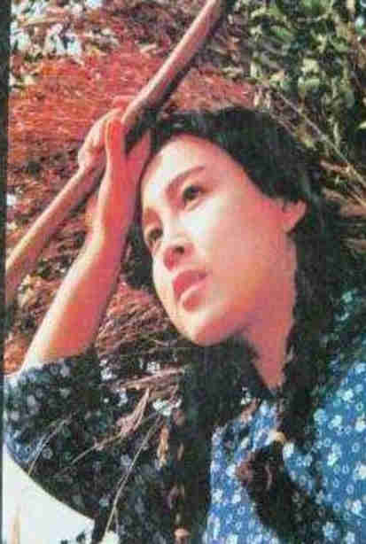 沙尘暴电视剧免费观看完整版