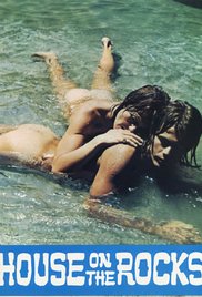 我是赵传奇电视剧全集