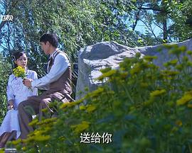 韶华若锦全集在线观看