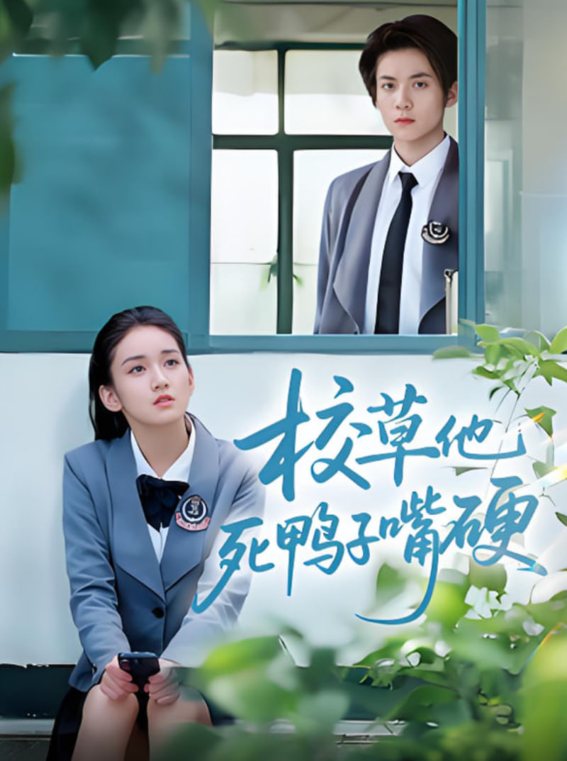 电影岛高清论坛