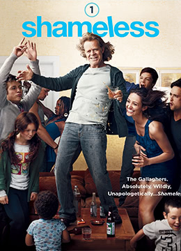 二重赋格电视剧免费观看