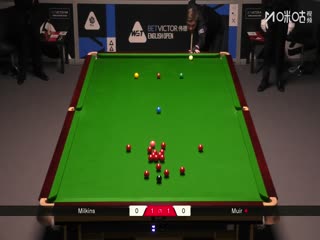 陌陌影视在线观看高清完整版