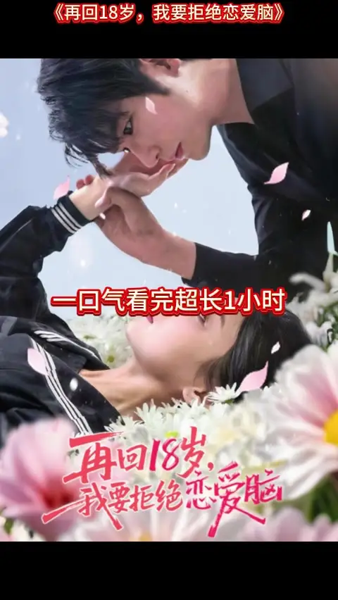 护宝寻踪40电视剧全集