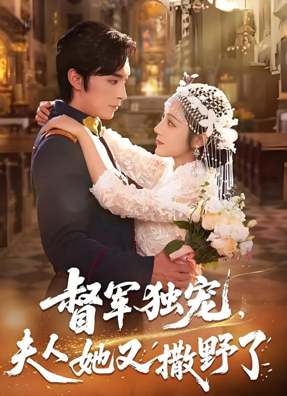 内线电视剧全集