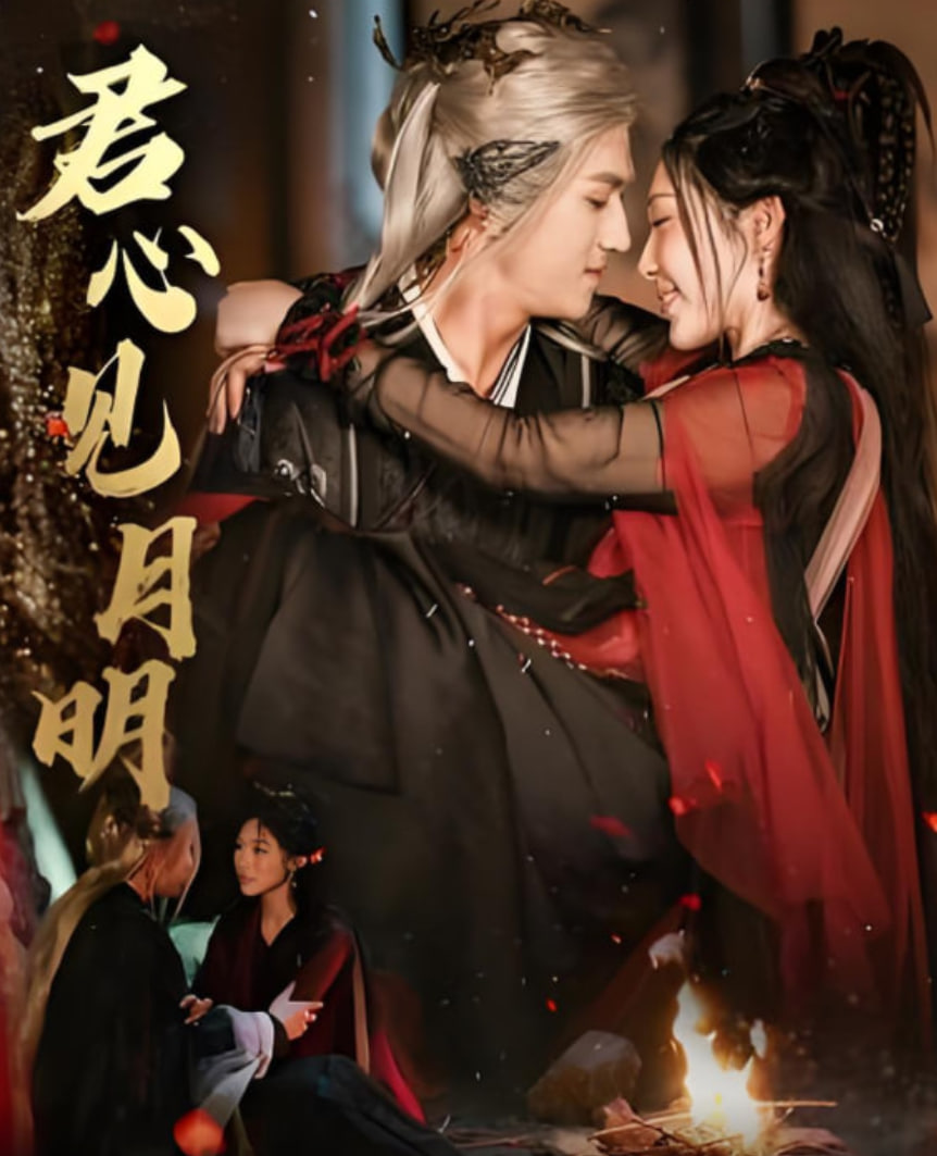 课长之恋动漫在线观看全集