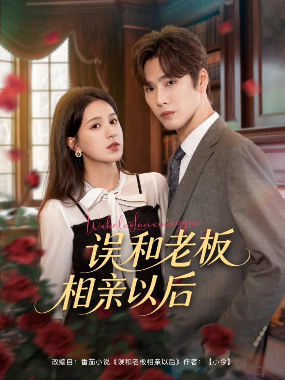 男生的困困到女生困困里电视剧