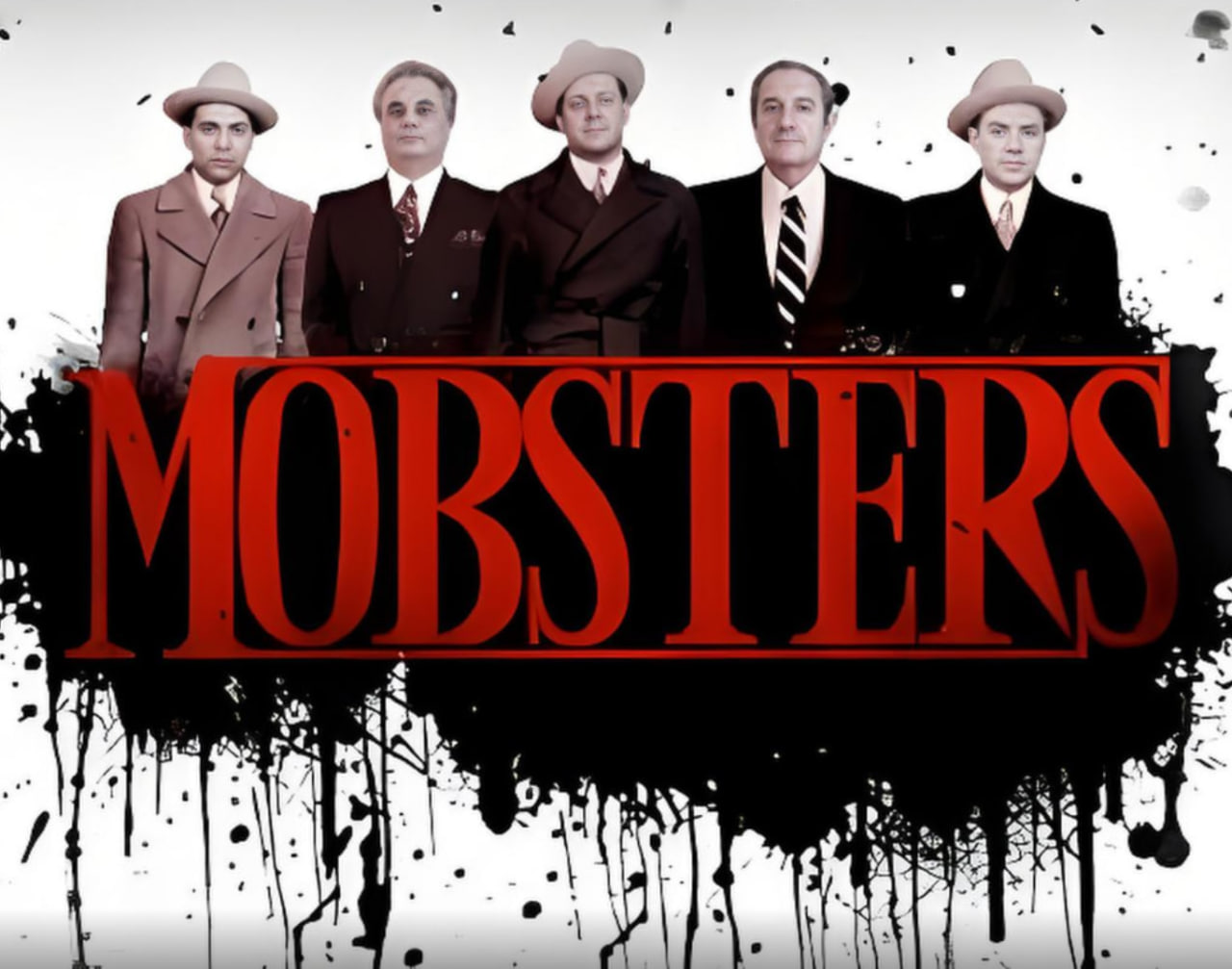 照明商店电视剧免费观看完整版