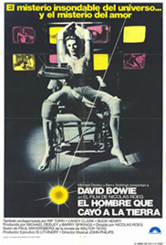 桃花马上请长缨短剧