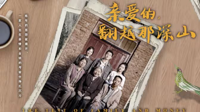 极品新娘电视剧全集