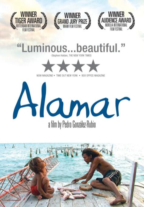 对你的想象电影