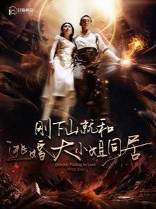 闪耀的她电视剧