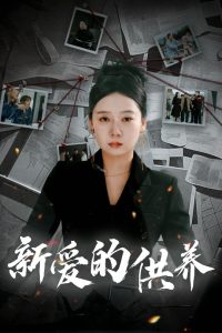 许凯主演的电视剧大全(全部)