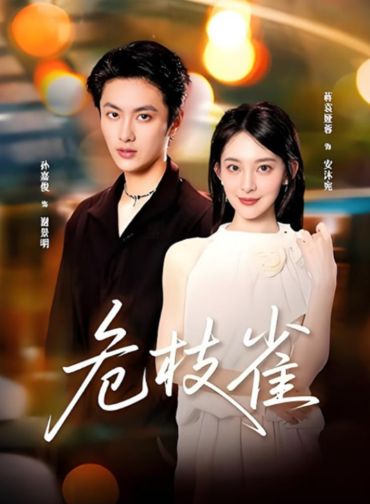 绝密使命 电视剧