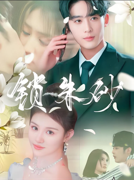 内在美电视剧全集观看