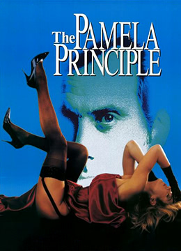 天天有喜电视剧全集爱奇艺