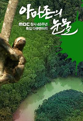 电视剧隋唐英雄全集