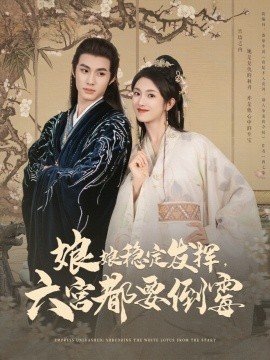 唐宫燕电视剧全集20