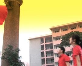 黄雀电视剧全集免费观看